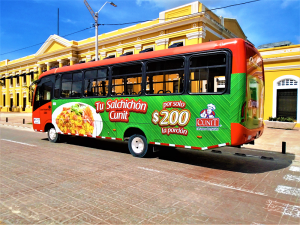 cunit-1-buses-enigma-web