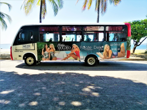 fajate-buses-enigma-web