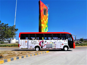 gato-negro-1-buses-enigma-web