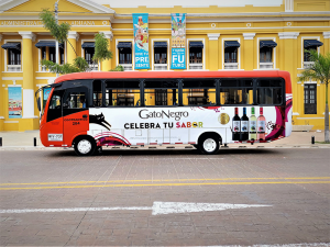 gato-negro-buses-enigma-web