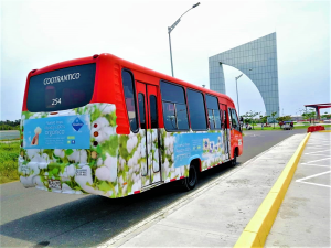 nosotras-flores-buses-enigma-web