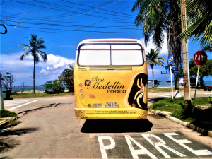ron-medellin-bus-enigma-web