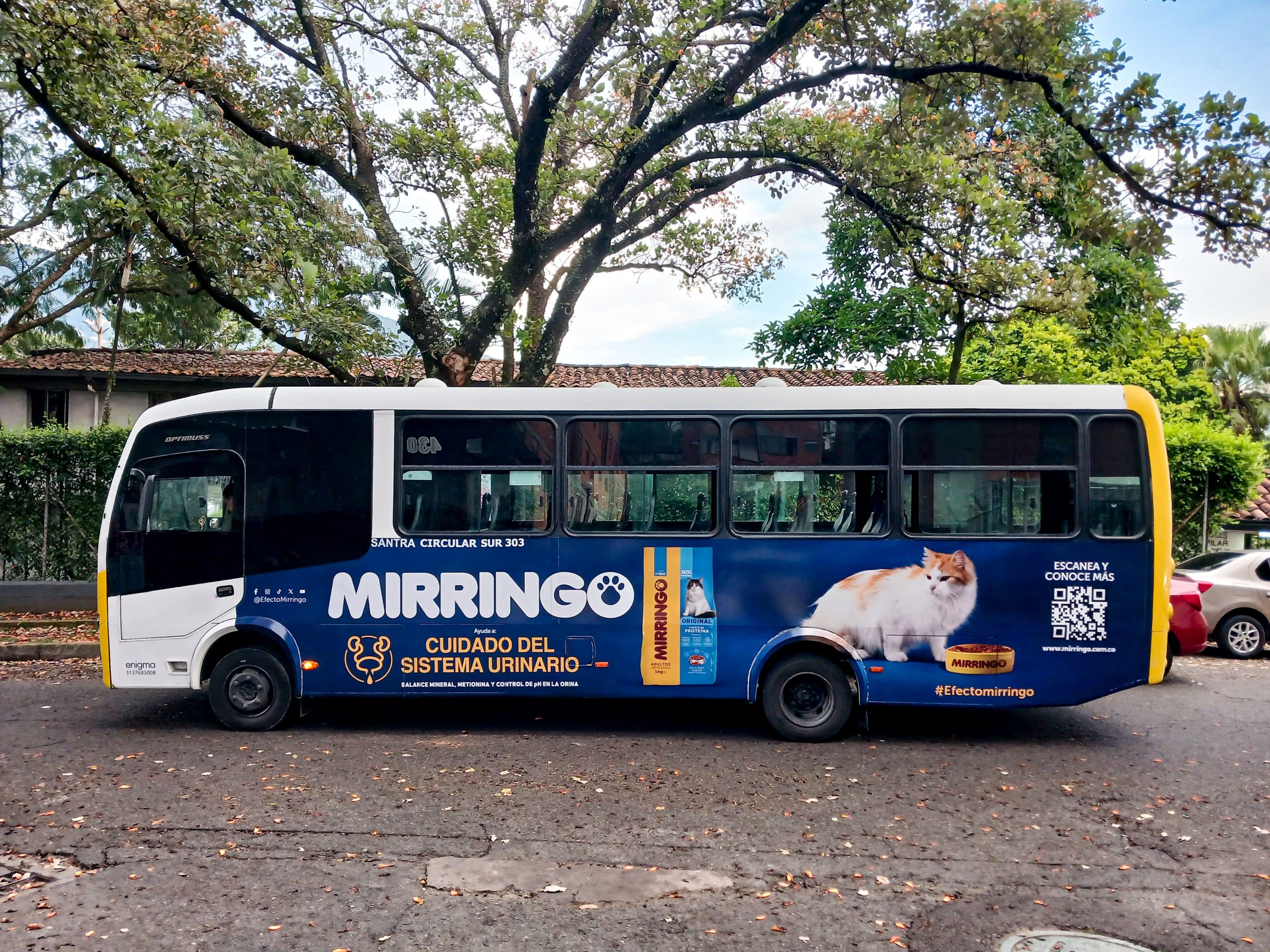 publicidad en buses